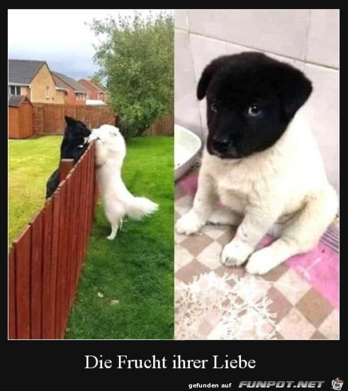 Hübsch geworden Hübsch geworden