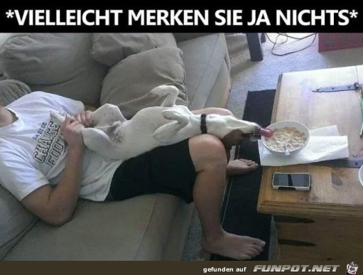 Einen Versuch ist es wert Einen Versuch ist es wert