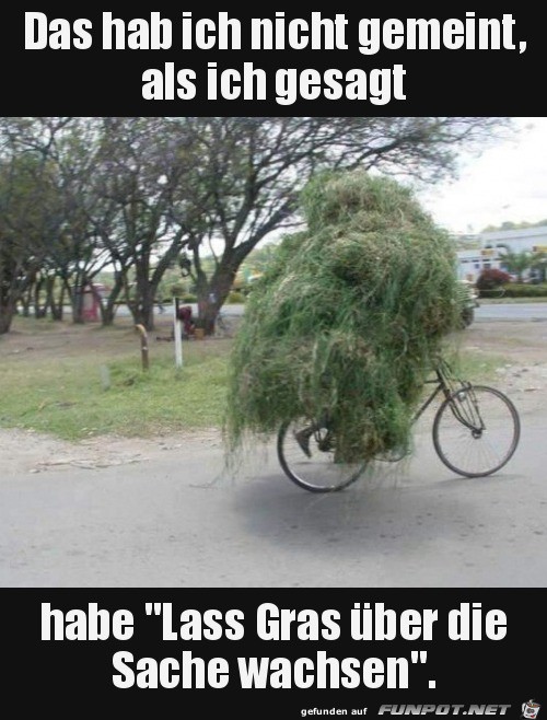 Gras