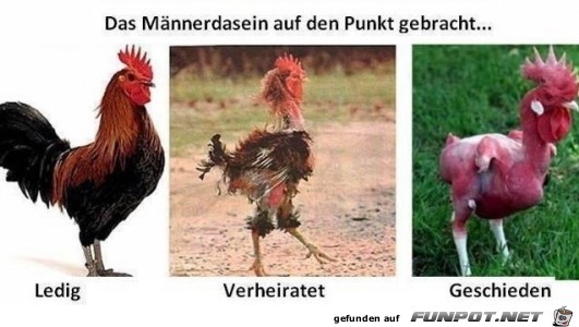 Maennerdasein Maennerdasein