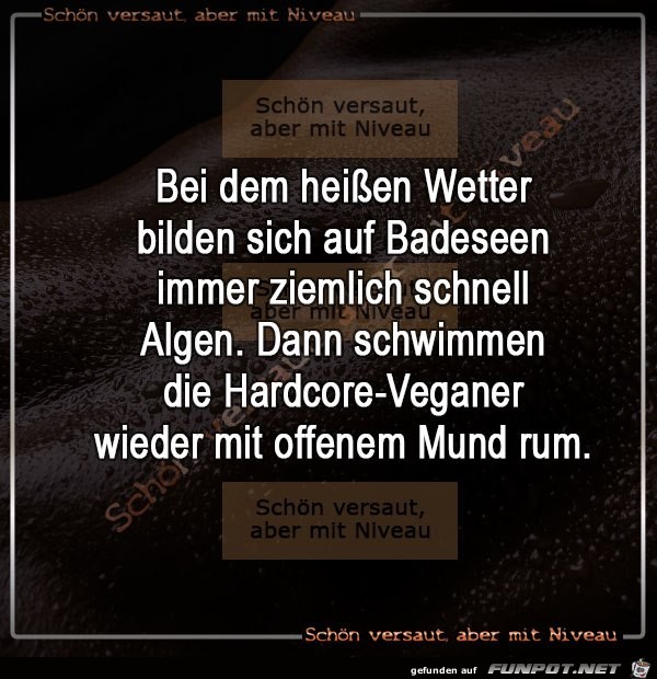 Algen in Badeseen Algen in Badeseen