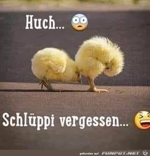 Huch Huch