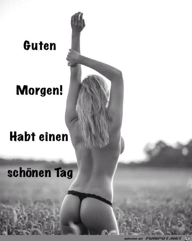 Guten Morgen Guten Morgen