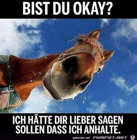 bist du okay