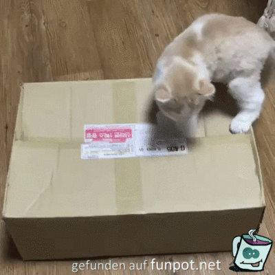 Das Paket ist fertig Das Paket ist fertig