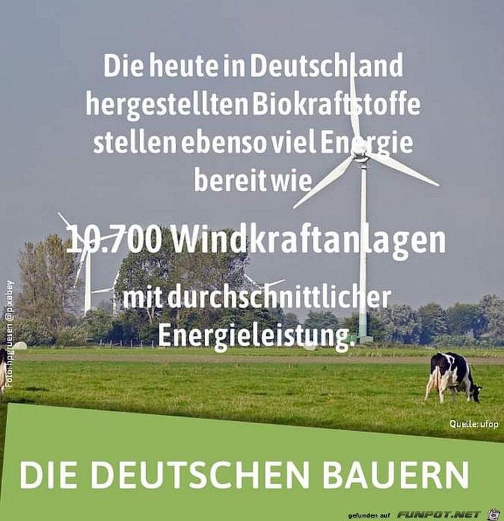 Biokraftstoff kontra Windkraftanlagen