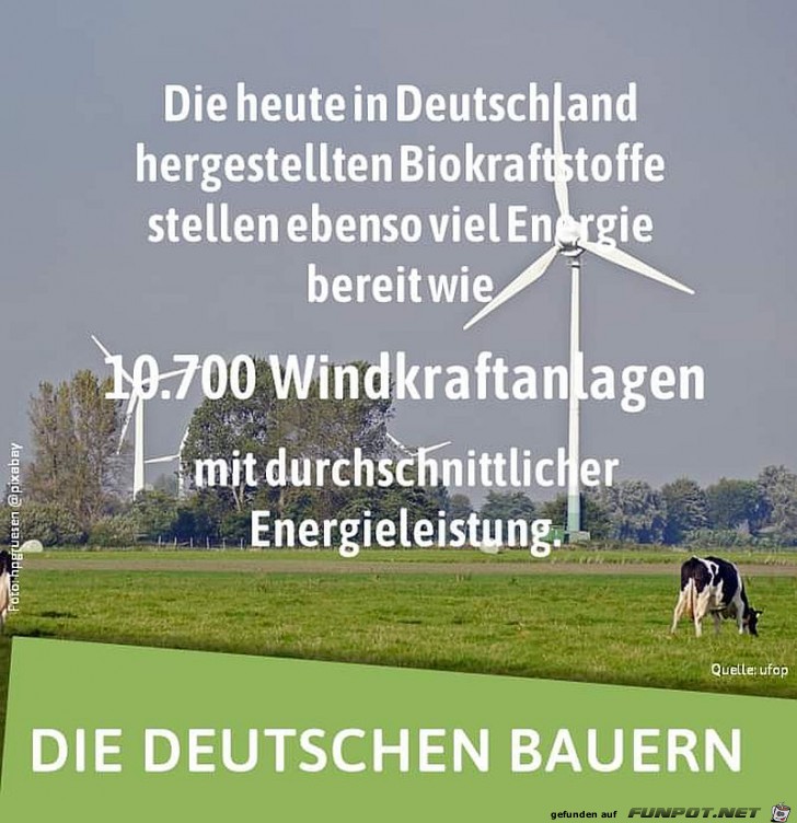 Biokraftstoff kontra Windkraftanlagen Biokraftstoff kontra Windkraftanlagen