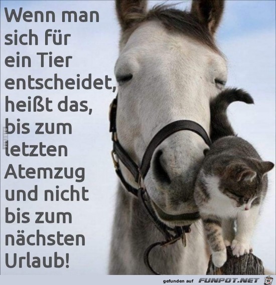 Wenn man sich Wenn man sich