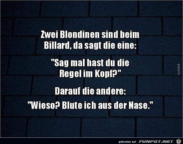 zwei Blondinen zwei Blondinen