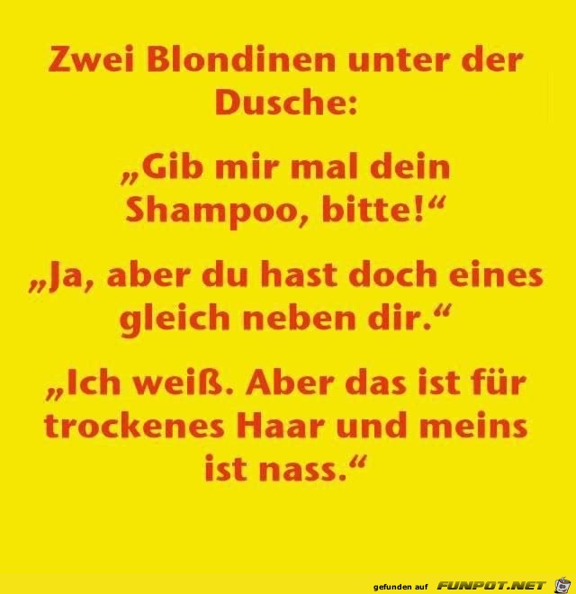zwei blondinen unter der dusche zwei blondinen unter der dusche