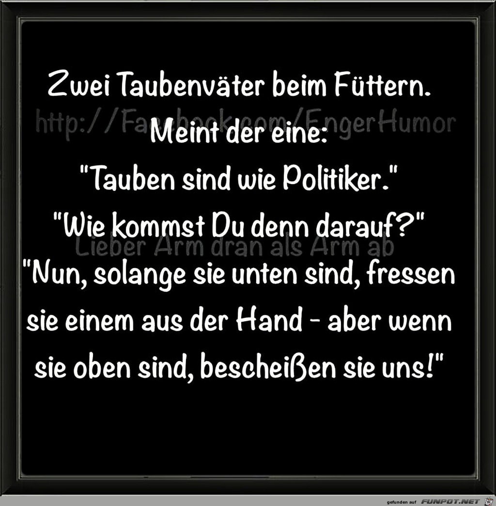 zwei taubenvaeter zwei taubenvaeter