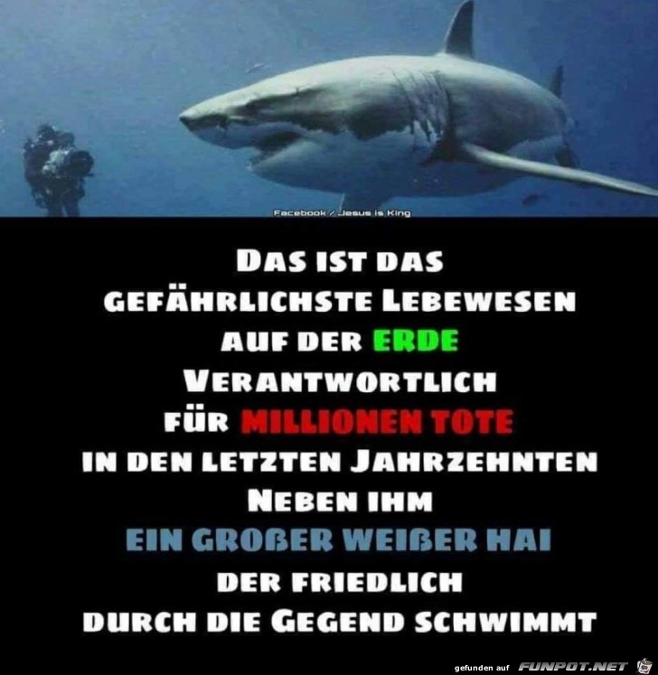 das ist das gefaehrlichste das ist das gefaehrlichste