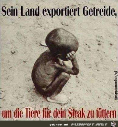sein land exportiert sein land exportiert