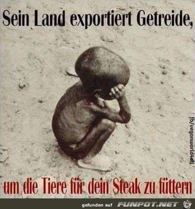 sein land exportiert