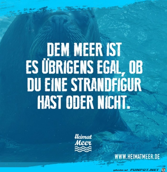 Egal was Du für eine Figur hast Egal was Du für eine Figur hast