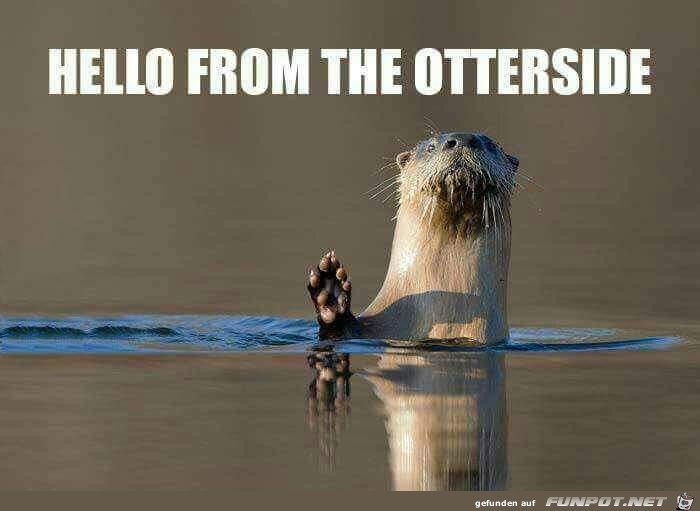 Hello Hello