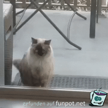 sehr nett sehr nett