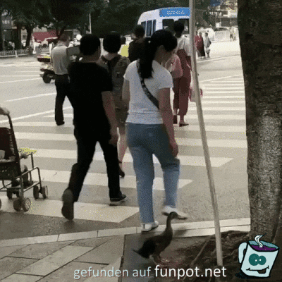Ich folge dir Ich folge dir