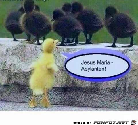 Jesus Maria