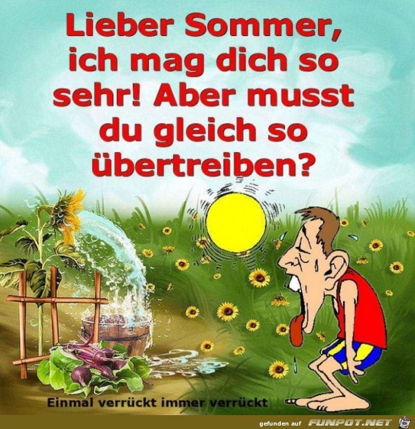 Lieber Sommer Lieber Sommer