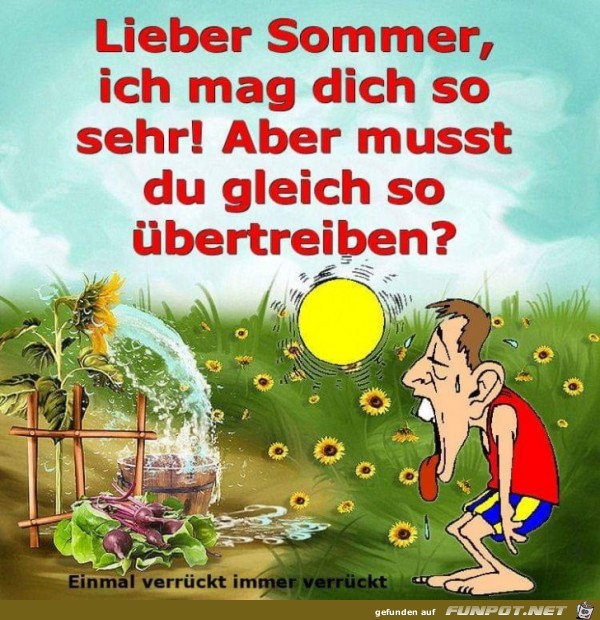 Lieber Sommer