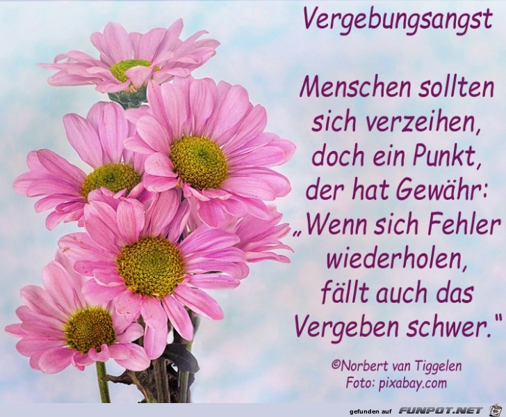 vergebungsangst 2019 vergebungsangst 2019