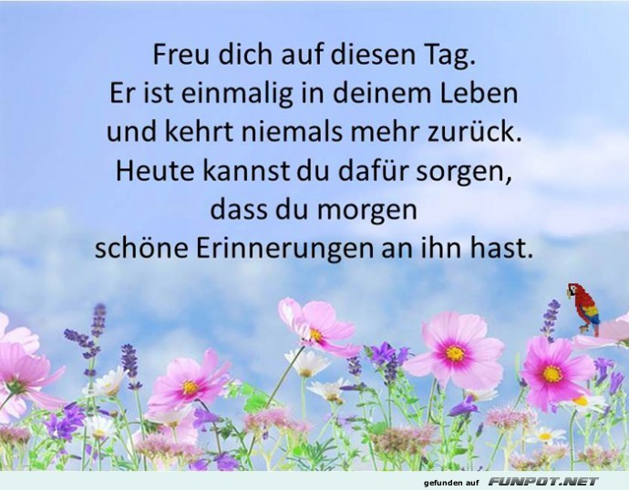 Freu dich auf diesen Tag Freu dich auf diesen Tag