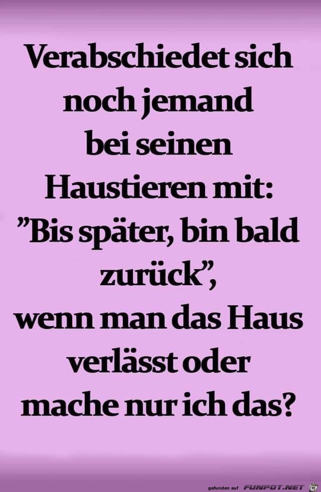 Bin bald zurck