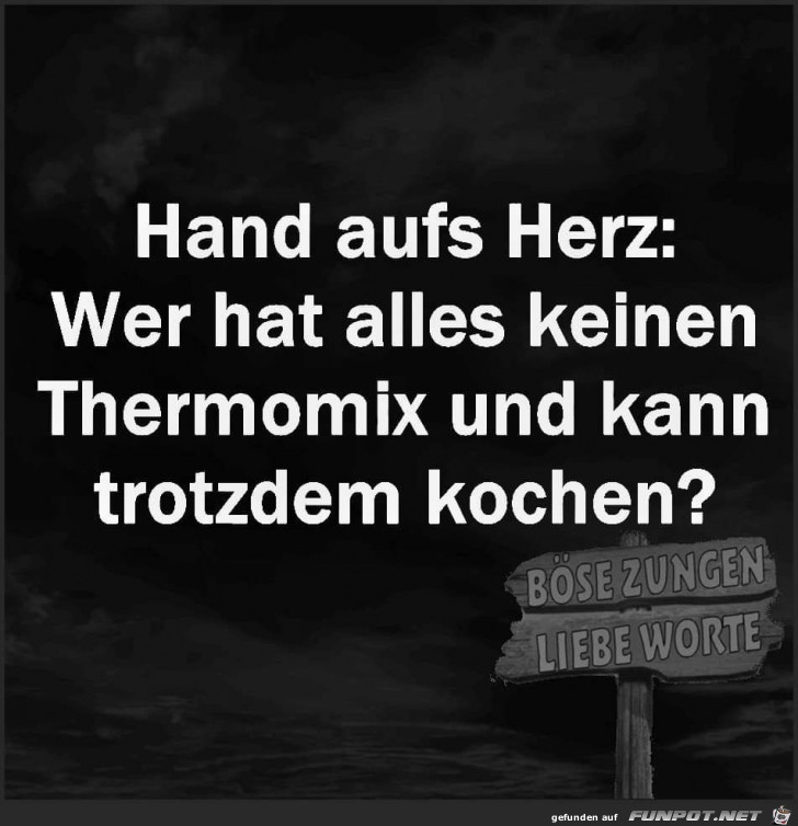 Wer kann auch ohne Thermomix kochen?