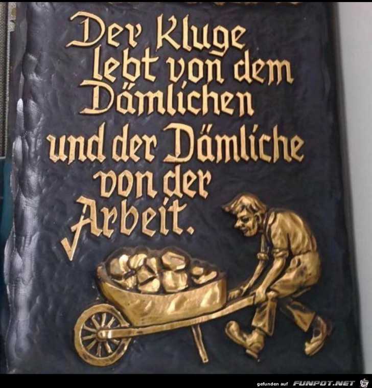 der Kluge lebt von dem Daemlichen