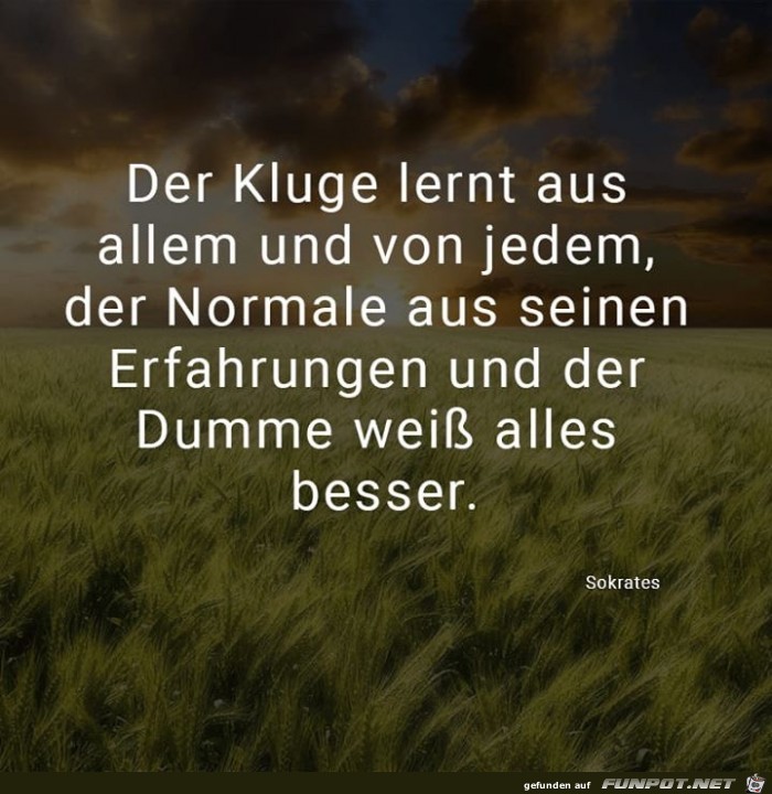 der Kluge lernt aus allem der Kluge lernt aus allem