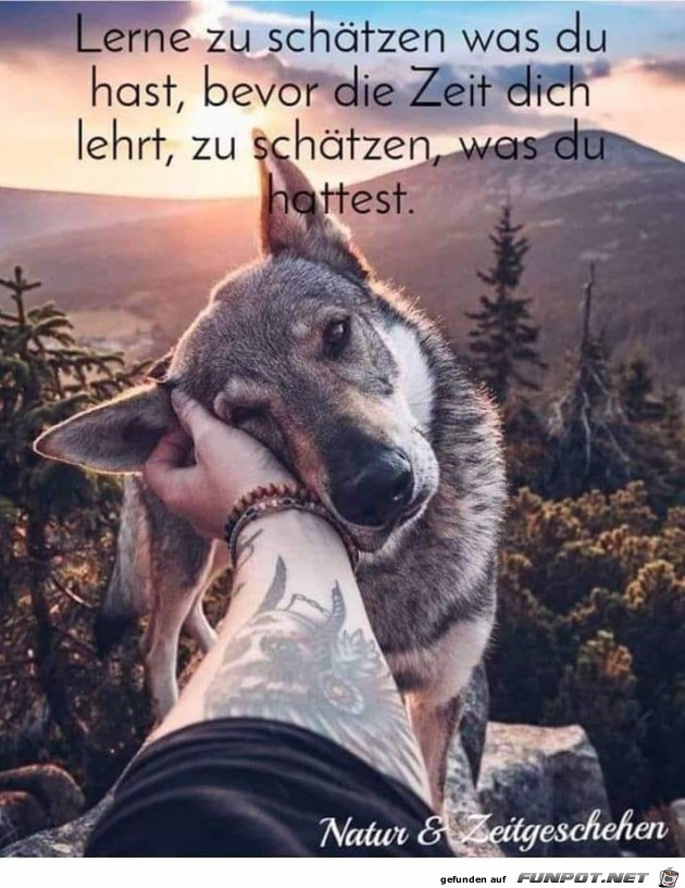 lerne zu schaetzen lerne zu schaetzen