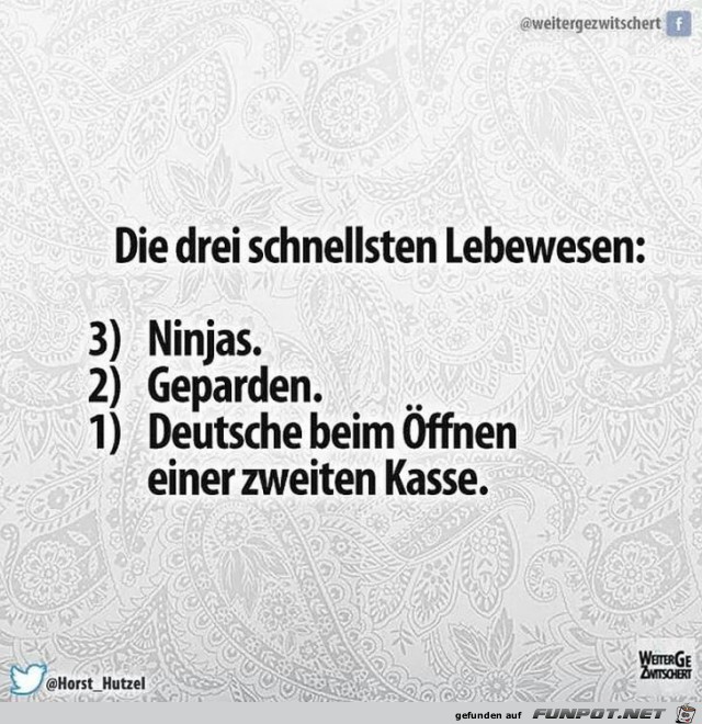 Die 3 schnellsten Lebewesen Die 3 schnellsten Lebewesen