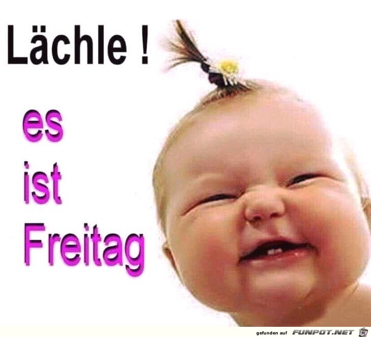Freitag Freitag