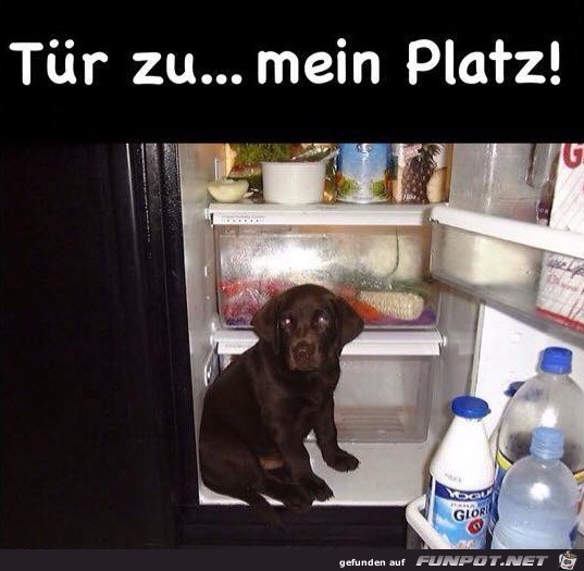 Mein Platz