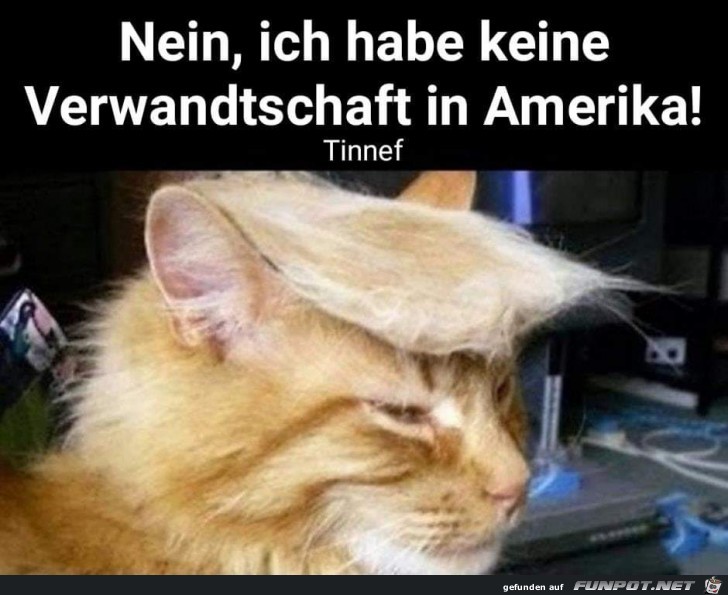 Keine Verwandtschaft in Amerika