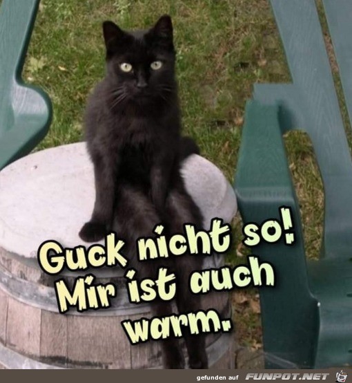 Mir ist auch warm