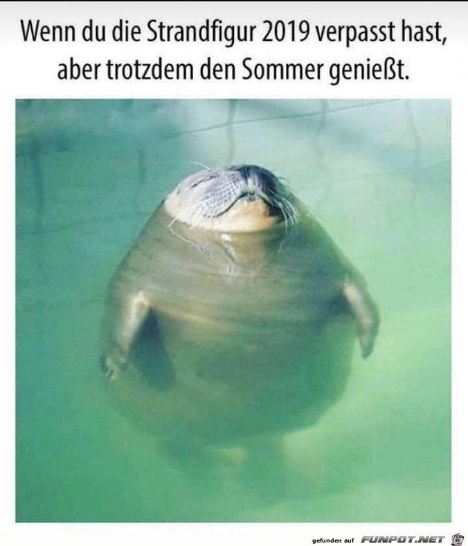 Sommer genieen