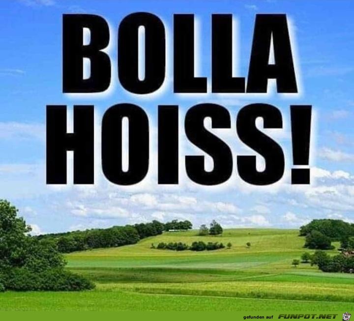 Bolla hoiss Bolla hoiss