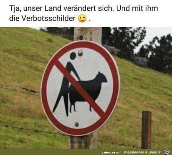 Schild Schild