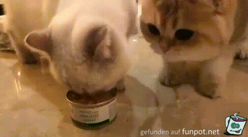 Gewusst wie Gewusst wie