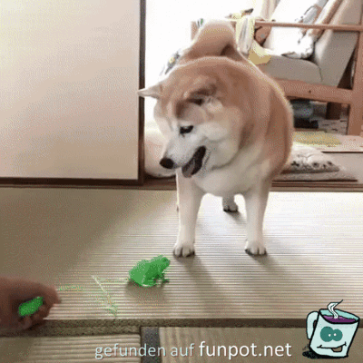 Was bist du denn für einer Was bist du denn für einer