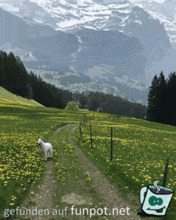 Im Gebirge Im Gebirge
