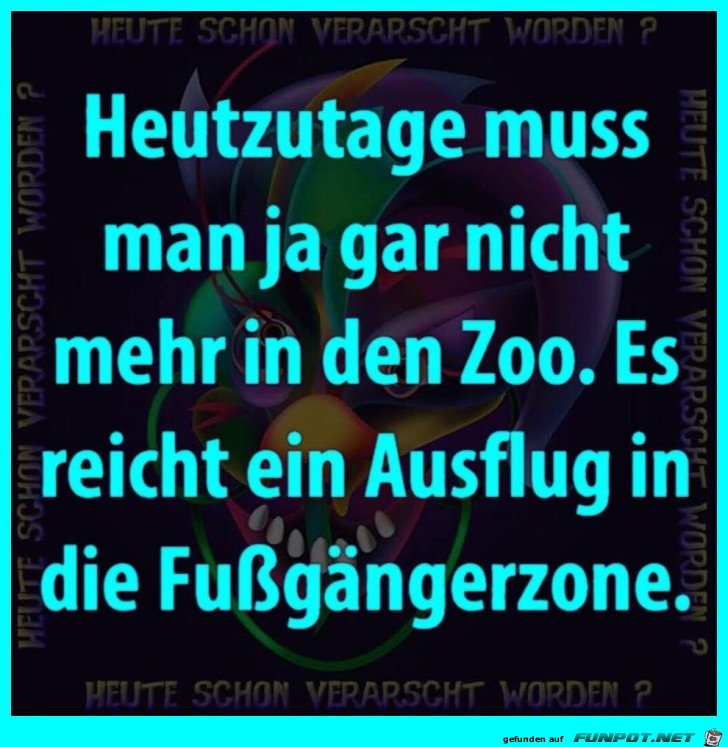 Zoo Zoo