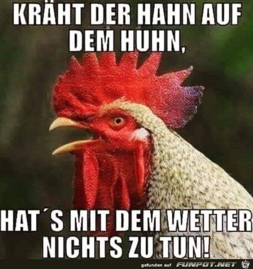 Na sowas Na sowas