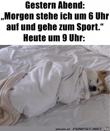 Immer dasselbe