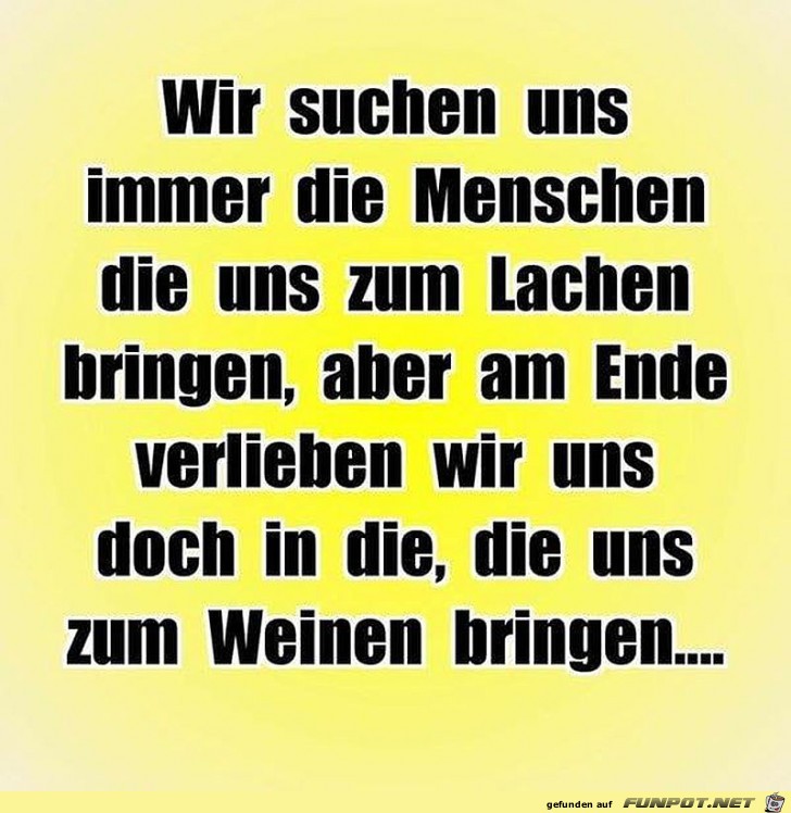 Suche