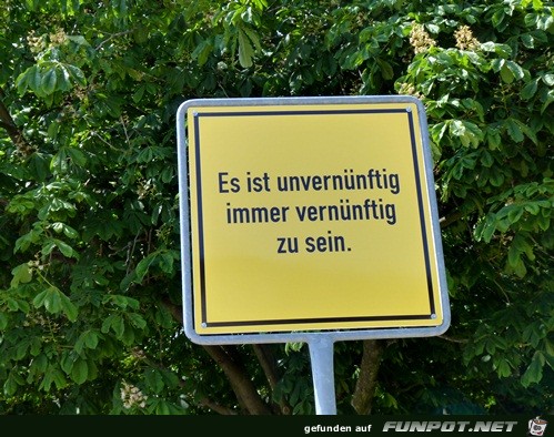 vernunft vernunft
