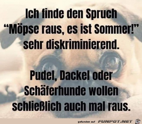 Das geht doch nicht Das geht doch nicht