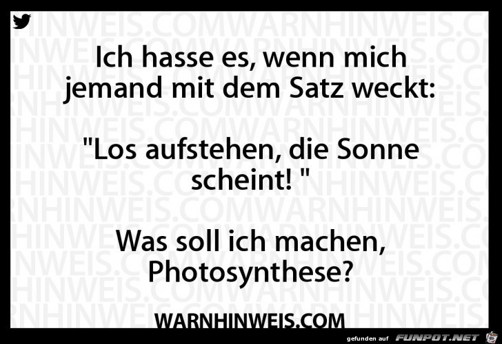 Los aufstehen Los aufstehen